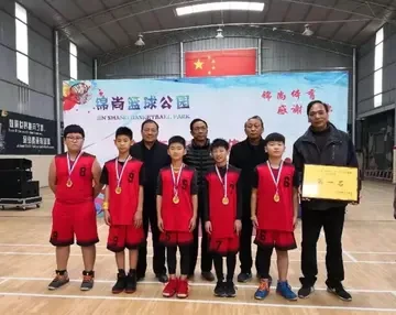 利用线上平台进行篮球训练辅导的优势_2